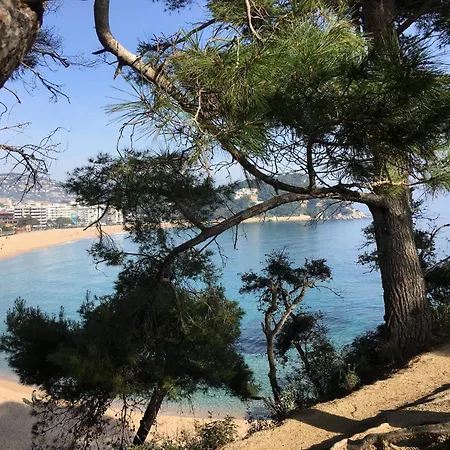 In Fenals Near & Saltwater Pool * Lloret de Mar