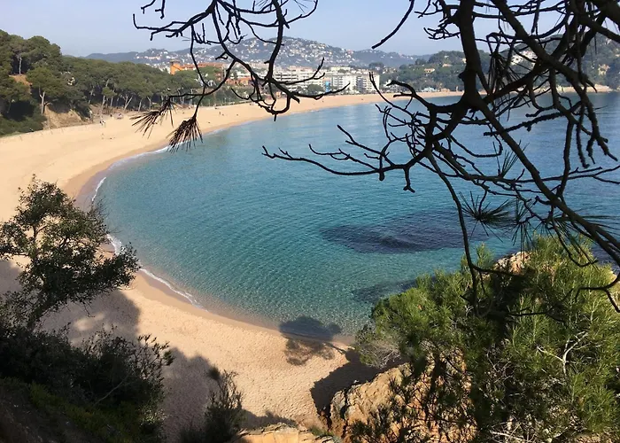 Apartman In Fenals Near & Saltwater Pool