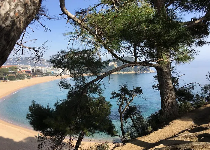 In Fenals Near & Saltwater Pool * Lloret de Mar