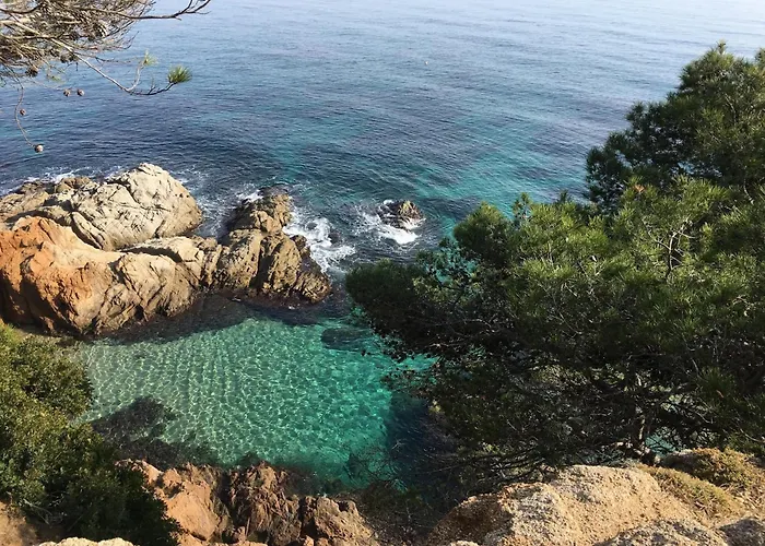 Appartement In Fenals Near & Saltwater Pool *