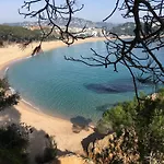 Apartamento In Fenals Near & Saltwater Pool